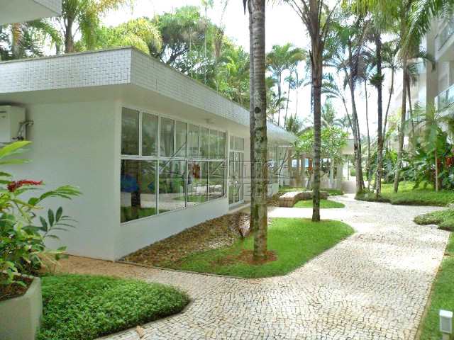 Miniatura 17