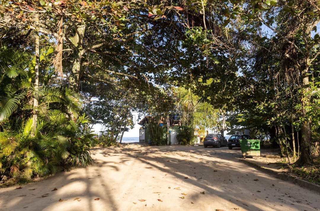 Miniatura 19